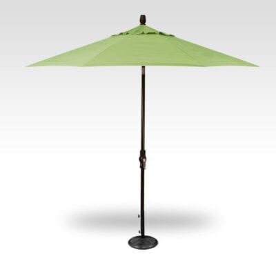 9' Collar Tilt Black/ Kiwi