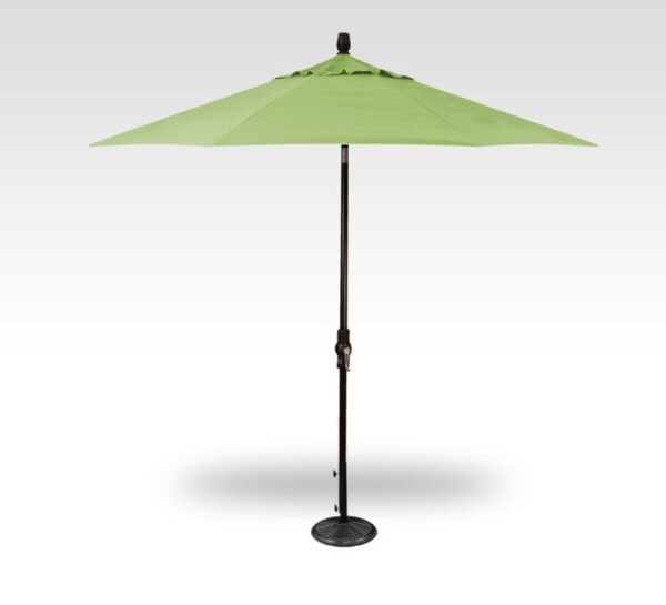 9' Collar Tilt Black/ Kiwi